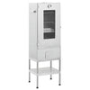 Vidaxl bbq-rookoven met tafel gegalvaniseerd staal