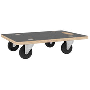 Vidaxl meubelhondjes 2 st rechthoekig 250 kg 50x35x11,5 cm - afbeelding 3