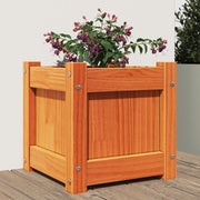Vidaxl plantenbak 31x31x31 cm massief grenenhout wasbruin - afbeelding 1