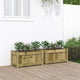 Vidaxl plantenbakken 2 st cm geïmpregneerd hout