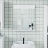 Vidaxl badkamerspiegel met schap berg 60x12x70 cm massief hout wit