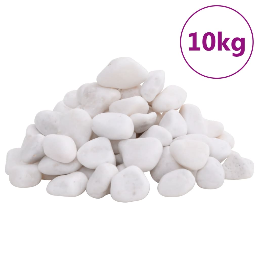 Vidaxl kiezelstenen gepolijst 2-5 cm 10 kg wit