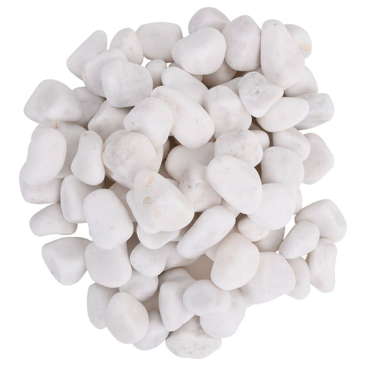 Vidaxl kiezelstenen gepolijst 2-5 cm 10 kg wit