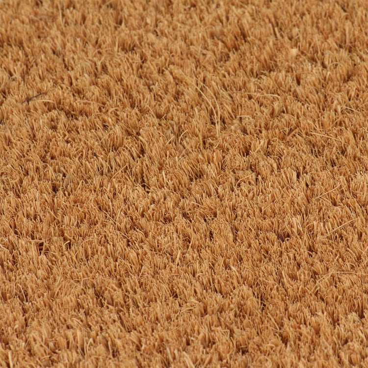 Vidaxl deurmatten 2 st 40x60 cm getufte kokosvezel naturel