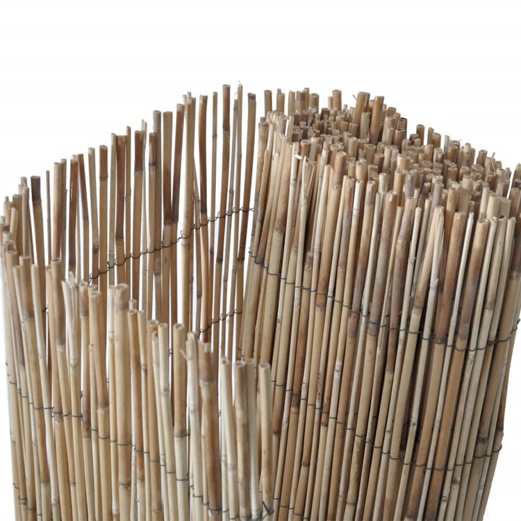 Vidaxl tuinscherm 400x100 cm riet