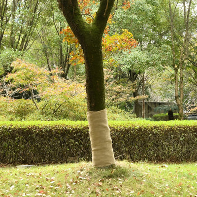 Vidaxl juterol 1x5 m 100% jute 200 g m²