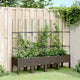 Vidaxl plantenbak met latwerk 160x40x142,5 cm polypropeen bruin