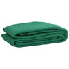 Vidaxl aanhangwagennet 2,5x4 m hdpe groen