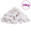Vidaxl kiezelstenen gepolijst 2-5 cm 10 kg wit