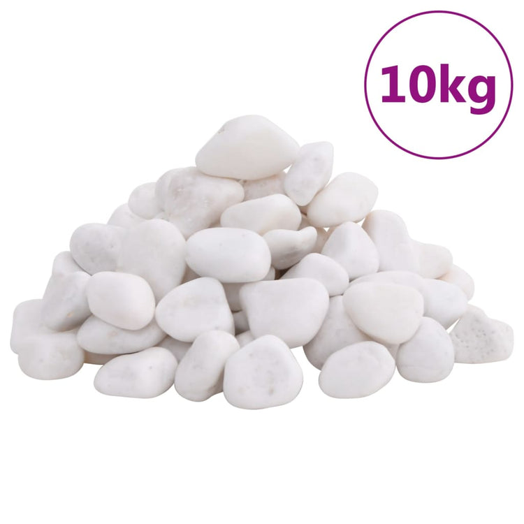 Vidaxl kiezelstenen gepolijst 2-5 cm 10 kg wit