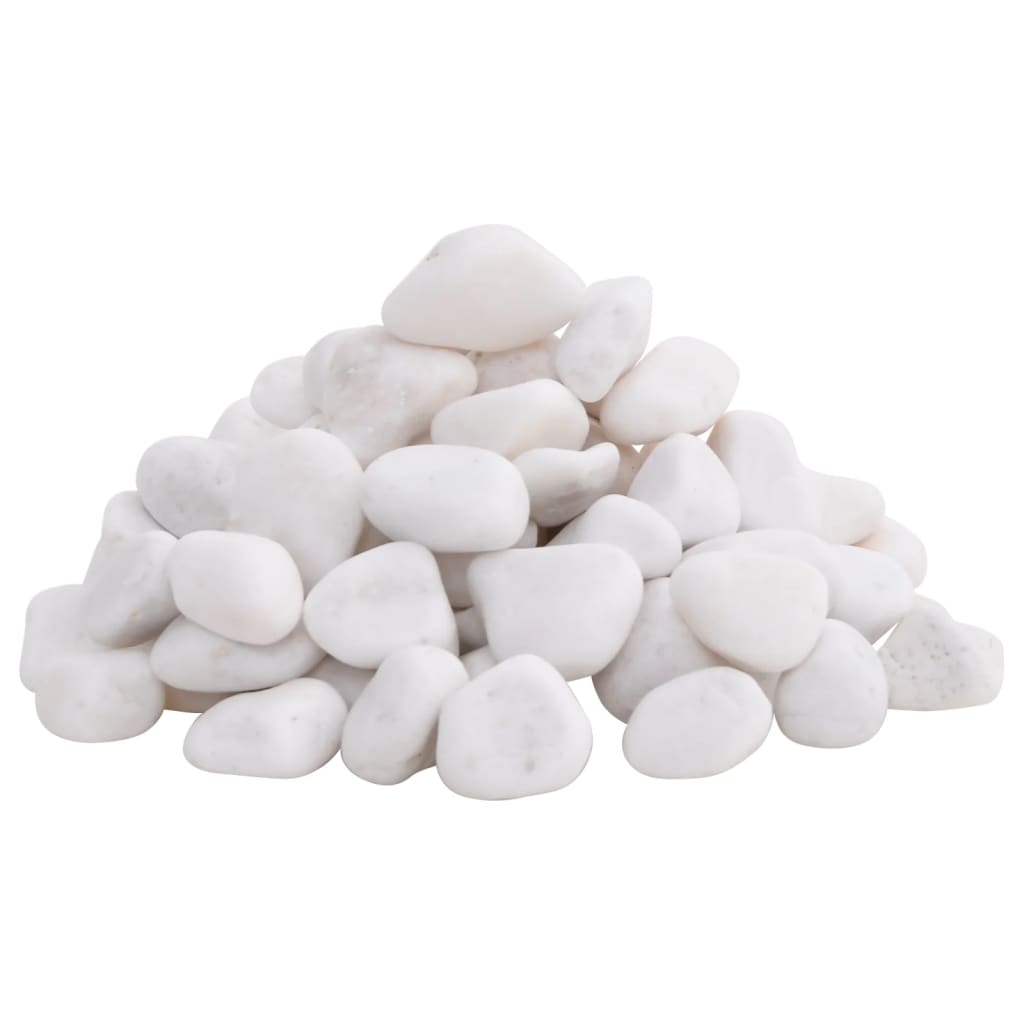Vidaxl kiezelstenen gepolijst 2-5 cm 10 kg wit
