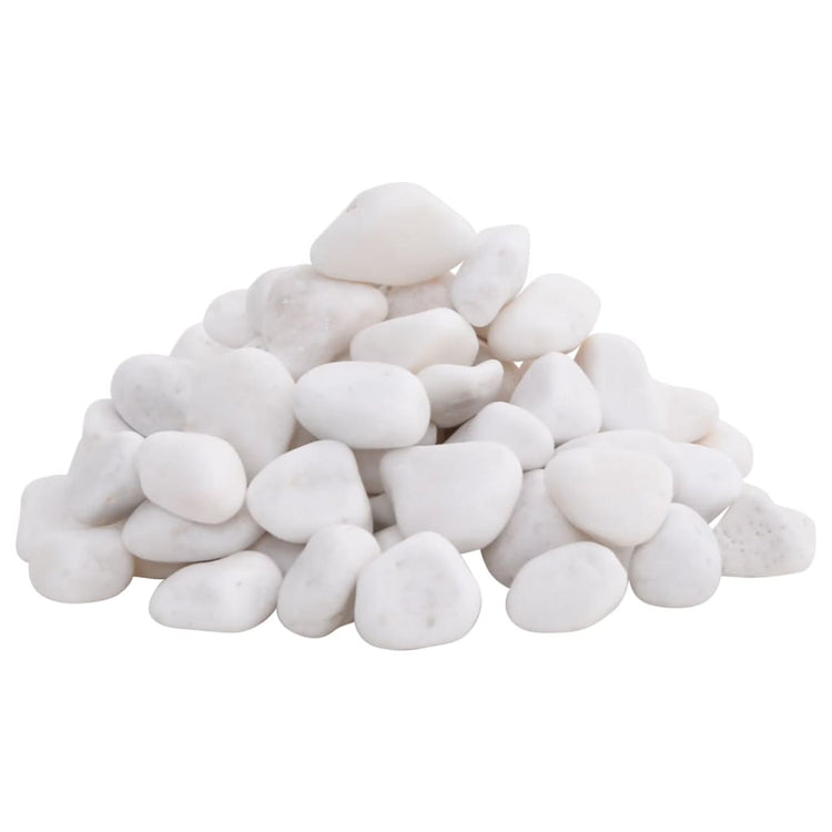 Vidaxl kiezelstenen gepolijst 2-5 cm 10 kg wit
