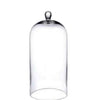 Ideas for seasons grote glazen stolp met knop ø13xh30cm