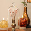 Ideas for seasons grote glazen stolp met knop ø13xh30cm