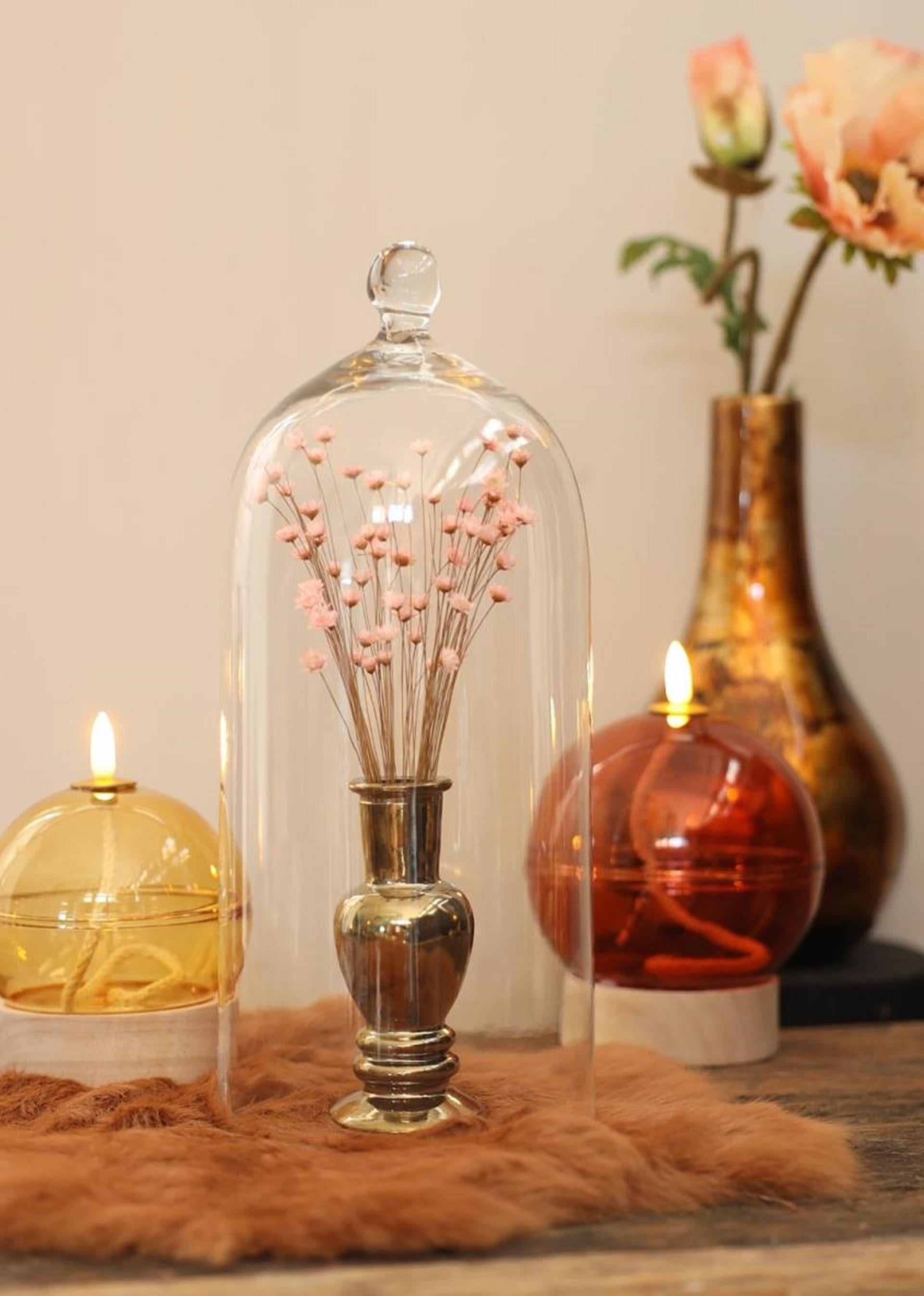Ideas for seasons grote glazen stolp met knop ø13xh30cm