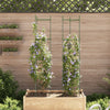 Vidaxl tomatenkooi 2 st 154 cm staal en polypropeen