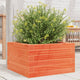 Vidaxl plantenbak 40x40x23 cm massief grenenhout wasbruin
