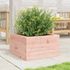 Vidaxl plantenbak 40x40x23 cm massief douglashout