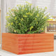 Vidaxl plantenbak 50x50x23 cm massief grenenhout wasbruin