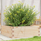 Vidaxl plantenbak 70x70x23 cm massief grenenhout