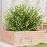 Vidaxl plantenbak 70x70x23 cm massief douglashout - afbeelding 1