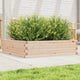 Vidaxl plantenbak 90x90x23 cm massief grenenhout