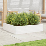 Vidaxl plantenbak 100x100x23 cm massief grenenhout wit - afbeelding 3