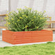 Vidaxl plantenbak 90x60x23 cm massief grenenhout wasbruin