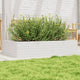 Vidaxl plantenbak 110x60x23 cm massief grenenhout wit