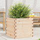 Vidaxl plantenbak 50x50x45,5 cm massief grenenhout