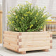 Vidaxl plantenbak 50x50x26,5 cm massief grenenhout