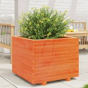 Vidaxl plantenbak 60x60x49,5 cm massief grenenhout wasbruin - afbeelding 1