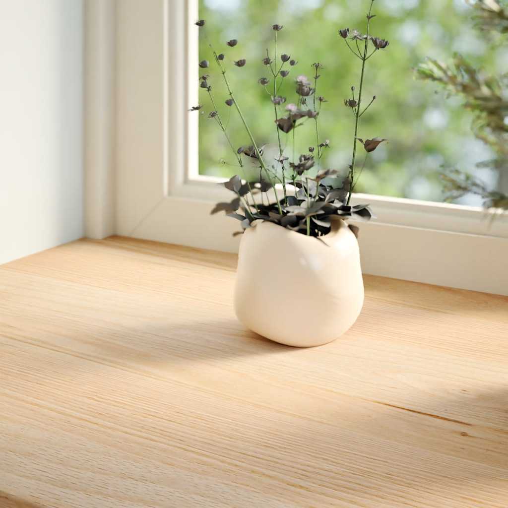 Vidaxl vensterbanken 2 st onbehandeld 90x20x2 cm massief eikenhout
