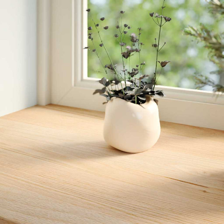 Vidaxl vensterbanken 2 st onbehandeld 90x20x2 cm massief eikenhout