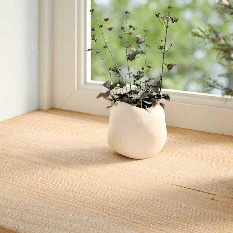 Vidaxl vensterbanken 2 st onbehandeld 120x20x2 cm massief eikenhout