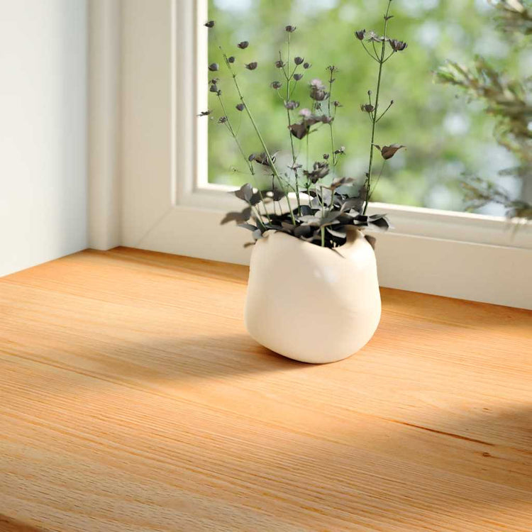 Vidaxl vensterbanken 2 st 80x25x2 cm massief eikenhout lichtbruin