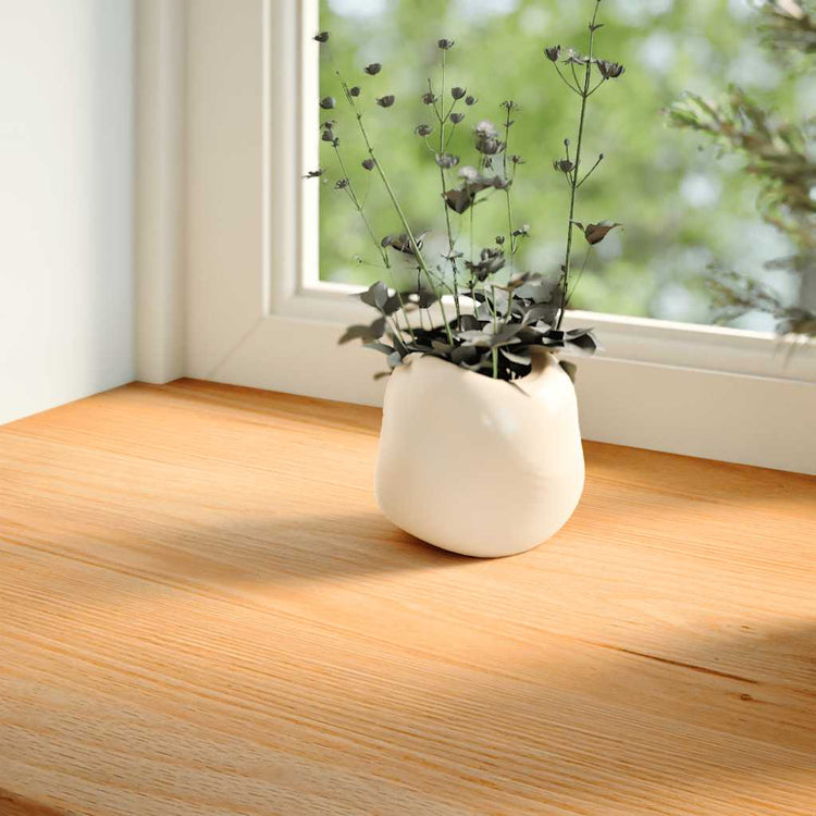 Vidaxl vensterbanken 2 st 160x25x2 cm massief eikenhout lichtbruin