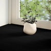 Vidaxl vensterbanken 2 st 160x30x2 cm massief eikenhout donkerbruin