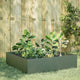 Vidaxl plantenbak verhoogd 100x100x41 cm staal olijfgroen