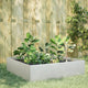 Vidaxl plantenbak verhoogd 100x100x41 cm roestvrijstaal