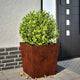 Vidaxl plantenbakken 2 st 50x50x50 cm weervast staal