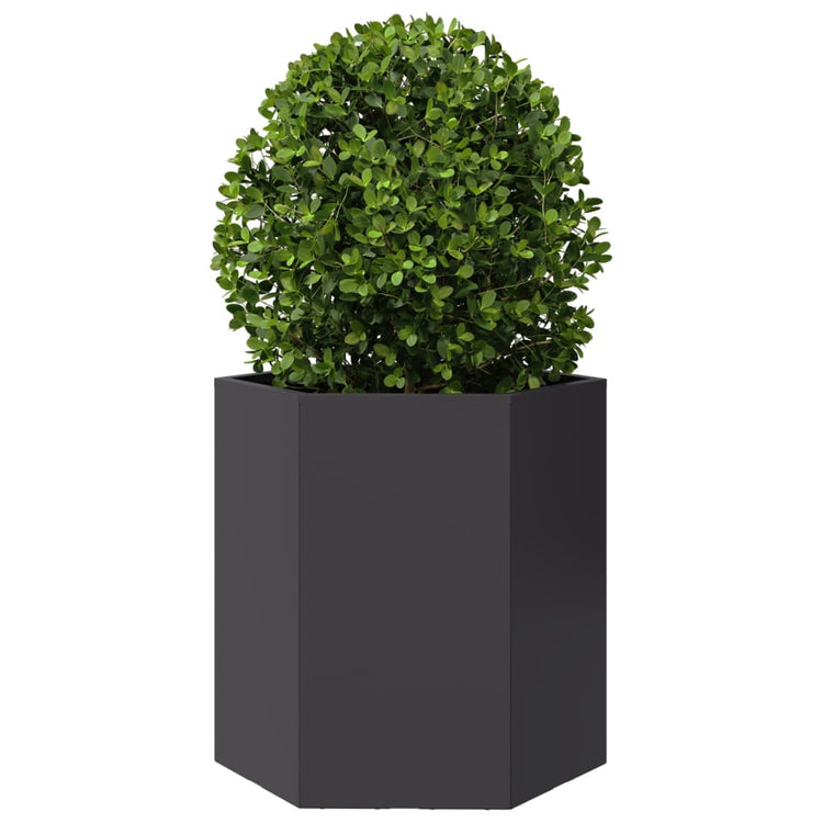 Vidaxl plantenbak zeshoek 46x40x45 cm staal zwart