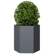 Vidaxl plantenbak zeshoek 46x40x45 cm staal antracietkleurig - afbeelding 3