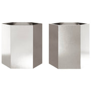Vidaxl plantenbakken 2 st zeshoek 46x40x45 cm roestvrijstaal - afbeelding 2