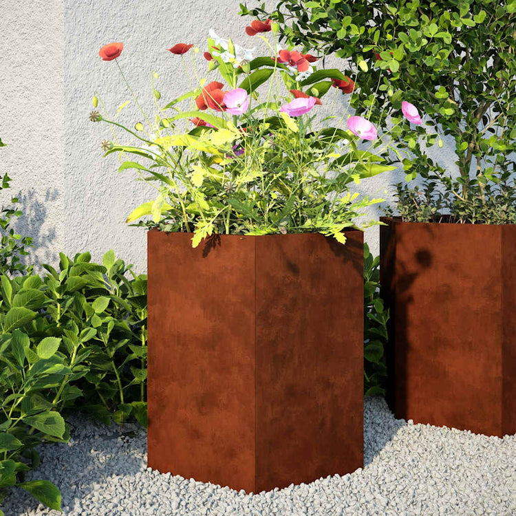 Vidaxl plantenbakken 2 st zeshoek 46x40x45 cm weervast staal