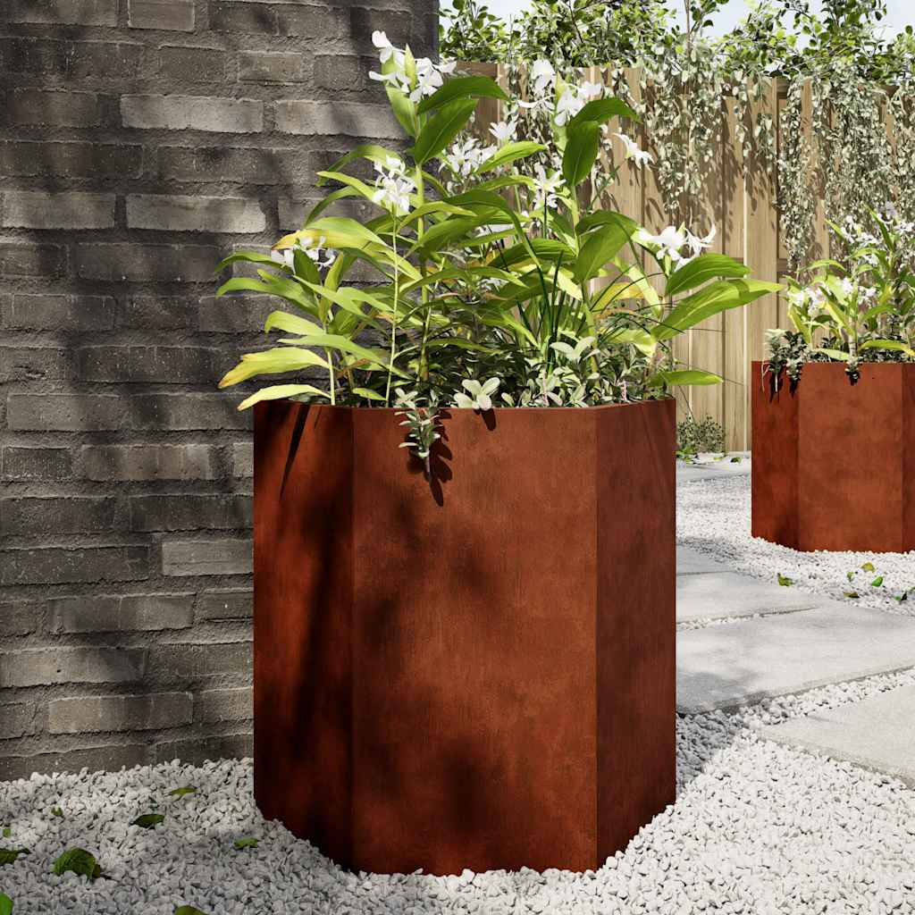 Vidaxl plantenbakken 2 st zeshoek 46x40x45 cm weervast staal