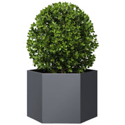 Vidaxl plantenbak zeshoek 69x60x45 cm staal antracietkleurig - afbeelding 3