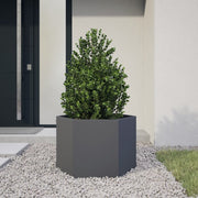 Vidaxl plantenbak zeshoek 69x60x45 cm staal antracietkleurig - afbeelding 1