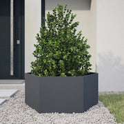 Vidaxl plantenbak zeshoek 104x90x45 cm staal antracietkleurig - afbeelding 2