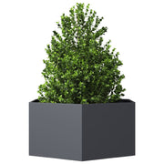 Vidaxl plantenbak zeshoek 104x90x45 cm staal antracietkleurig - afbeelding 3